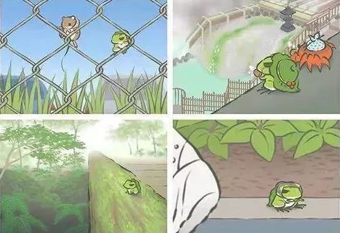 養(yǎng)貓失敗,養(yǎng)青蛙就能成功?.png 養(yǎng)貓失敗,養(yǎng)青蛙就能成功?.png