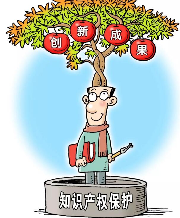知識(shí)產(chǎn)權(quán)保護(hù).jpg